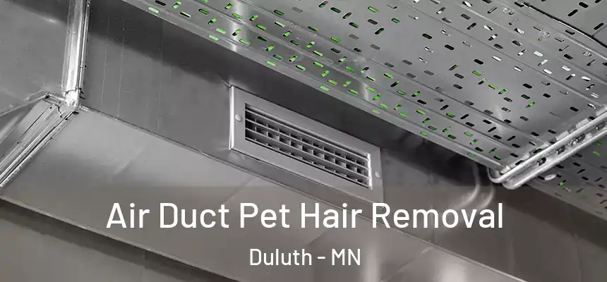 Air Duct Pet Hair Removal Duluth - MN