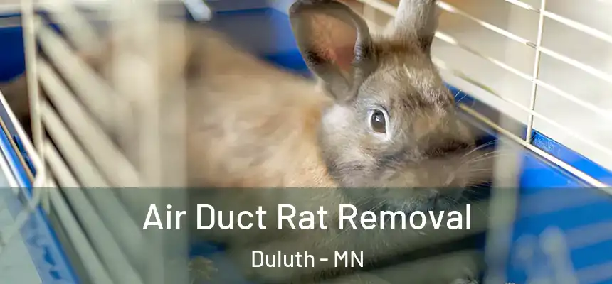 Air Duct Rat Removal Duluth - MN