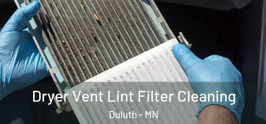 Dryer Vent Lint Filter Cleaning Duluth - MN