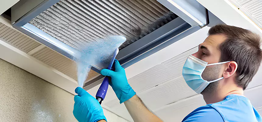 Proactive Dryer Vent & Auxiliary Duct Pollen Cleanup in Duluth, MN
