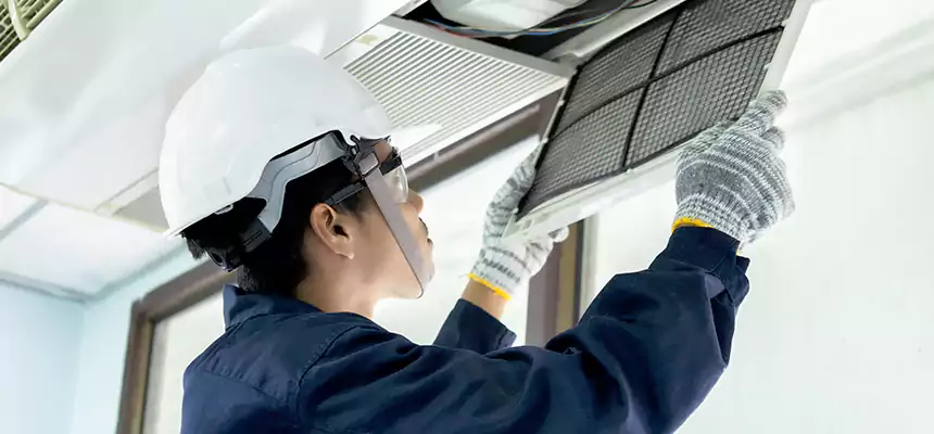 Our Mold & Mildew Removal from Air Ducts Services in Duluth, MN