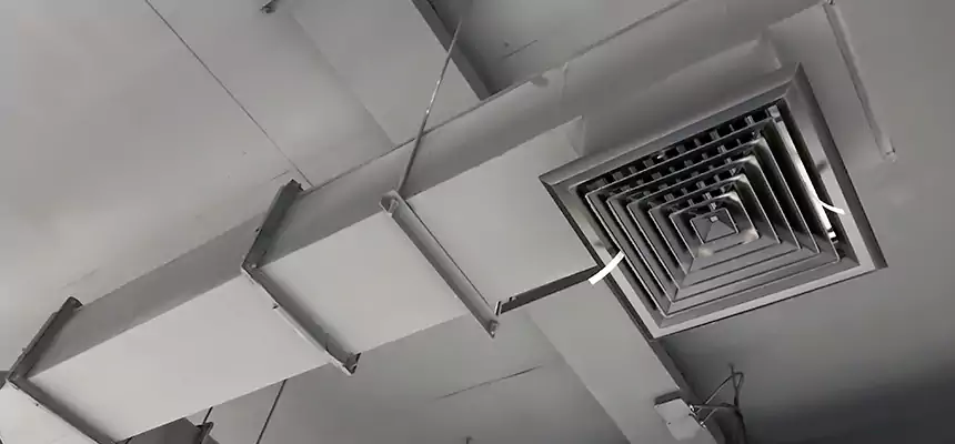 Our Rodent Droppings In Vents Services in Duluth, MN