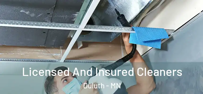 Licensed And Insured Cleaners Duluth - MN
