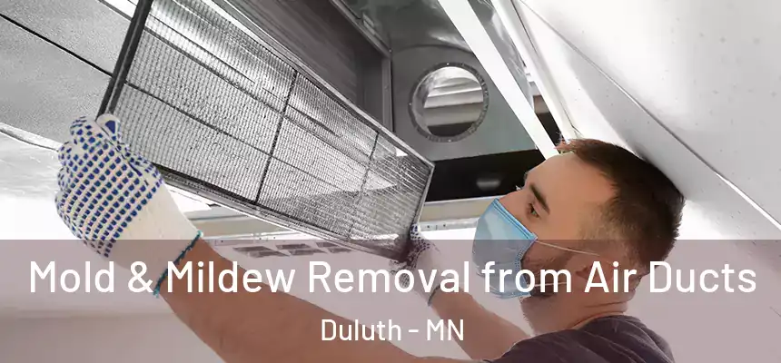 Mold & Mildew Removal from Air Ducts Duluth - MN