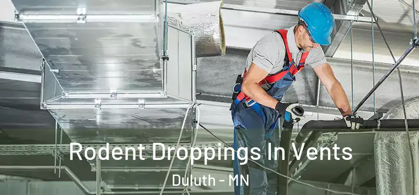 Rodent Droppings In Vents Duluth - MN