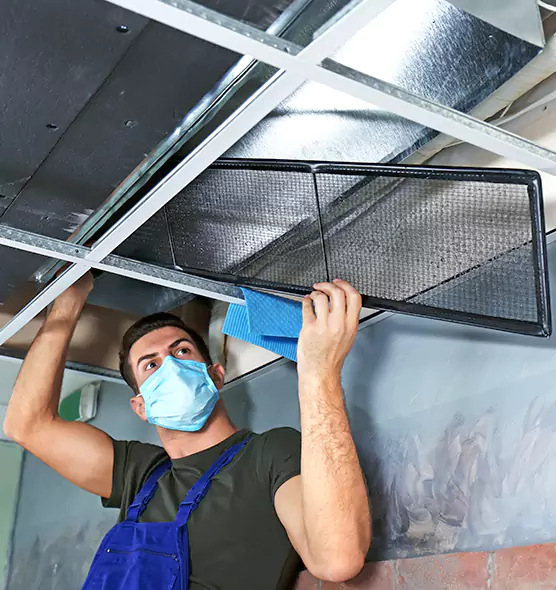 About Air Duct Bacteria Removal in Duluth