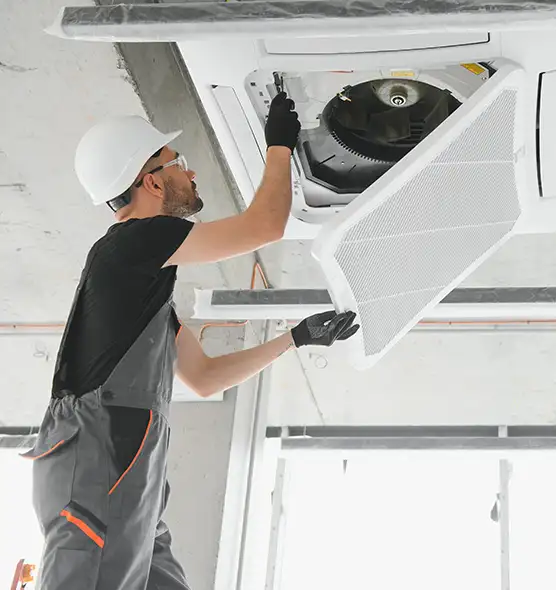 About Air Duct Rodent Removal in Duluth, MN