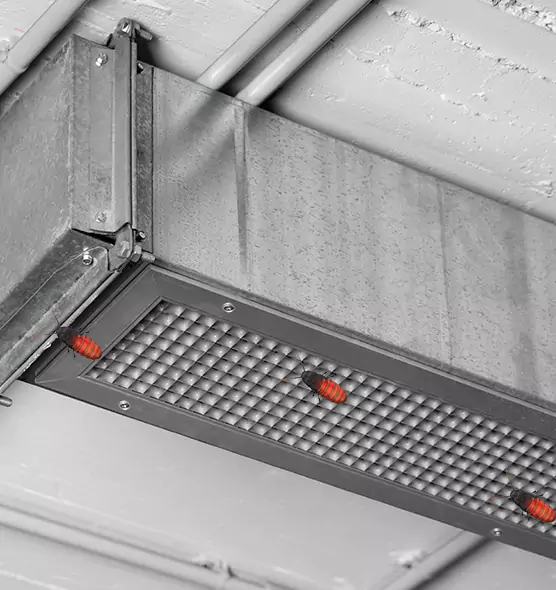 Affordable Insect Removal from Air Ducts in Duluth, MN