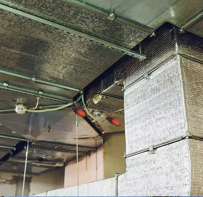 Why Homeowners & Businesses Trust Us in Duluth, MN?