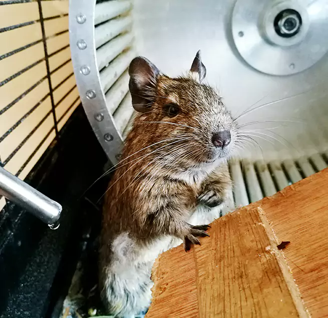 Why Homeowners & Businesses Trust Us Duluth, MN?