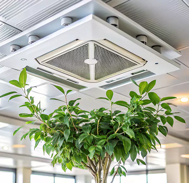 Why Homeowners & Businesses Trust Us in Duluth, MN?