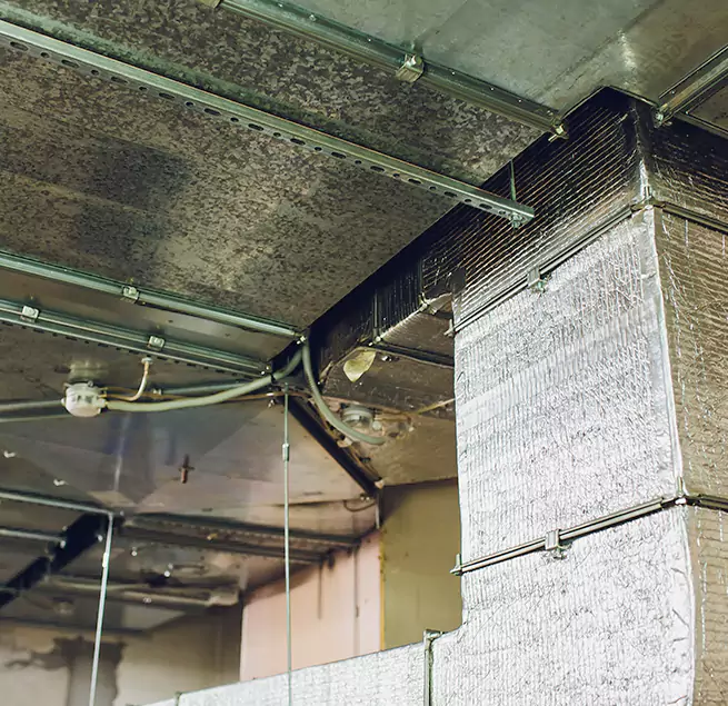 Why Homeowners & Businesses Trust Us in Duluth, MN?